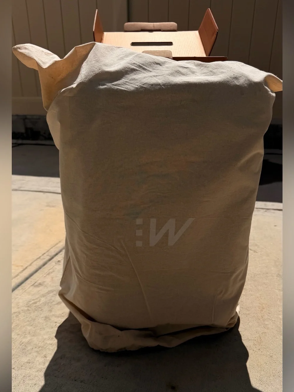 Lightweight Blue Spinner Carry-On with Organized Interior